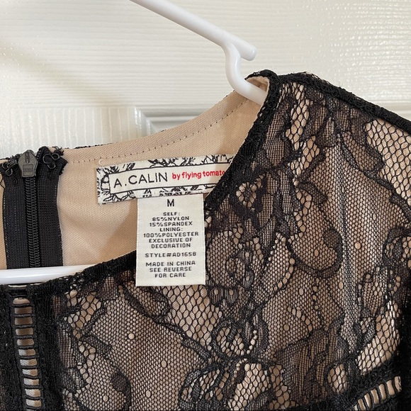 Flying Tomato Lace Dress - Picture 4 of 9